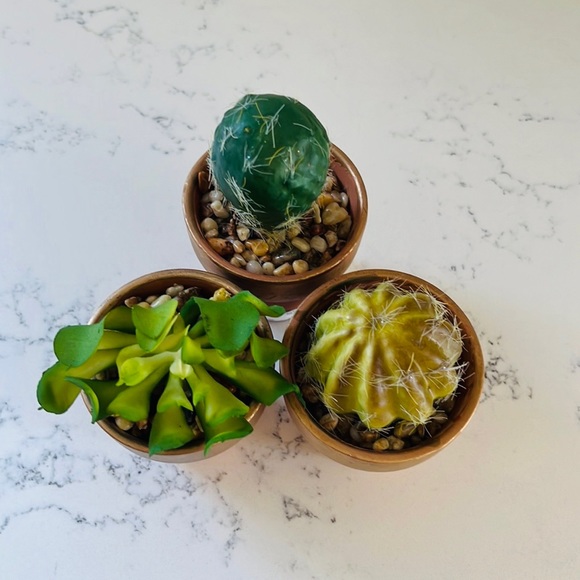 Pier 1 set of three faux mini decorative cactus - Picture 9 of 15